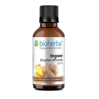 Bioherba Ingwer Zingiber officinale Tropfen Tinktur