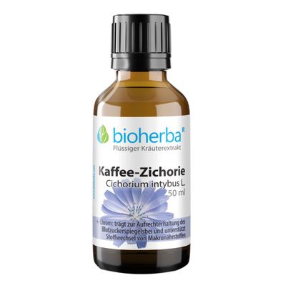 Bioherba Kaffee-Zichorie Cichorium intybus L. Tropfen Tinktur