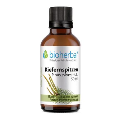 Bioherba Kiefernspitzen Pinus sylvestris L. Tropfen Tinktur