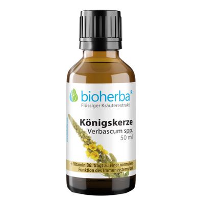 Bioherba Königskerze Verbascum spp. Tropfen Tinkur
