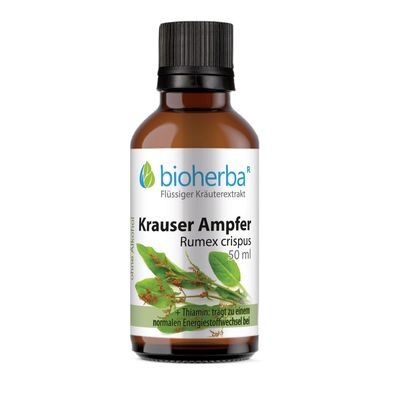 Bioherba Krauser Ampfer Rumex crispus Tropfen Tinktur