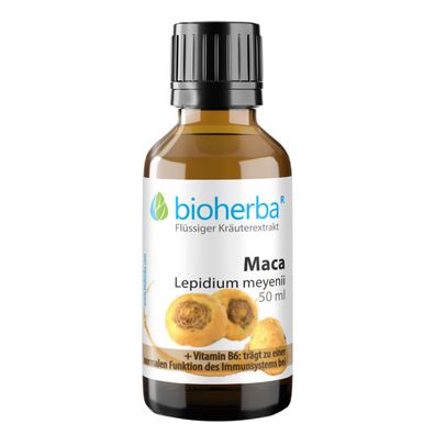 Bioherba Maca Lepidium meyenii Tropfen Tinktur