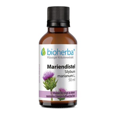 Bioherba Mariendistel Silybum marianum L. Tropfen Tinktur