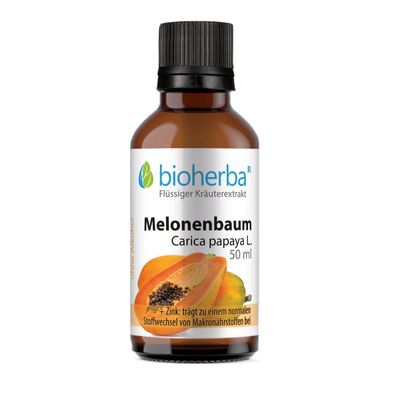 Bioherba Melonenbaum Carica papaya L. Tropfen Tinktur
