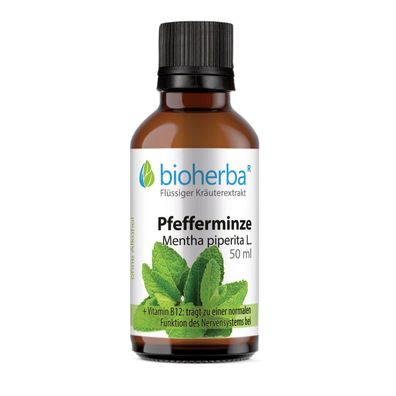 Bioherba Pfefferminze Mentha piperita L. Tropfen Tinktur