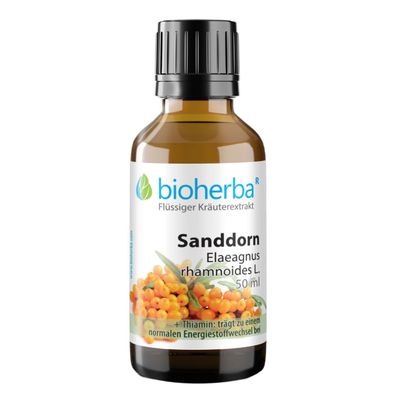 Bioherba Sanddorn Elaeagnus rhamnoides L. Tropfen Tinktur