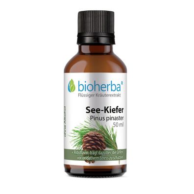 Bioherba See-Kiefer Pinus pinaster Tropfen Tinktur