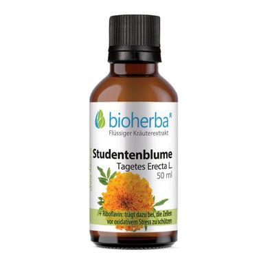 Bioherba Studentenblume ?agetes Erecta L. Tropfen Tinktur