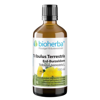 Bioherba Tribulus Terrestris Erd-Burzeldorn Tropfen Tinktur