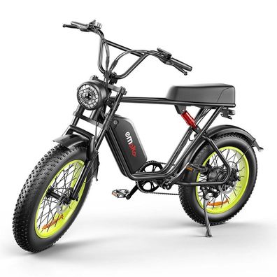 20" Zoll E-bike Big Wheel Abnehmbare 17.5/20ah Batterie PAS Assistant Elektrofahrrad