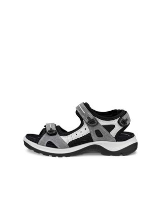 Ecco Offroad 069563