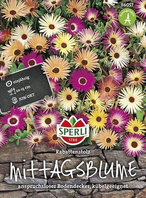 Mittagsblumen Rabattenstolz