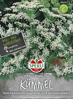 Kümmel Carum carvi Sperling´s Aroma Star