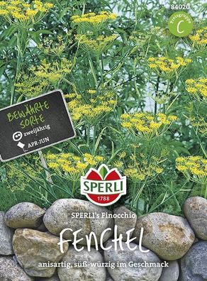 Fenchel Sperling`s Finocchio, zweijährige Gewürz und Heilpflanze,