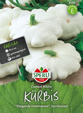 Kürbis (Fliegende Untertasse) Custard White, tellerförmige Früchte, zahrtes
