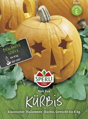 Sperli Kürbis Tom Fox, kräftig aromatisches Fruchtfleich