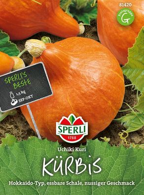 Sperli Kürbis Uchiki Kuri (Hokkaido-Typ), nussig-süßer Geschmack