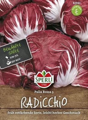 Radicchio Palla Rossa 3, bestens für die Spätherbst- und Winterernte geeignet