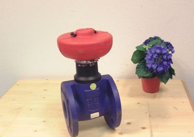 Wasserhahn Wasserschieber ARI EURO WEDI mit Ventilkappe DN 50 PN 16 Bestnr. S12/91