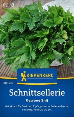 Schnittsellerie Gewone Snij, Würzkraut für Beet und Töpfe - pikantes