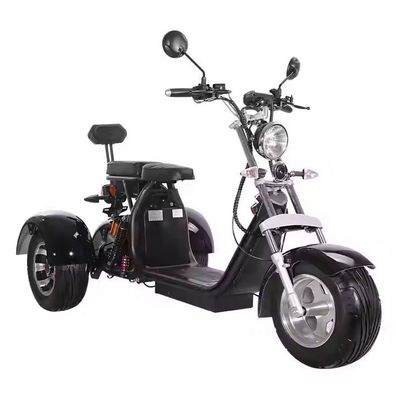 Elektrisches Dreirad-Motorrad E-Scooter Elektroroller mit 2000W 60V 40Ah Akku EEC COC