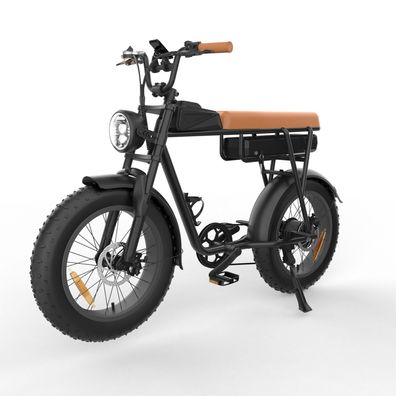 E-Mountainbike mit 20" All Terrain-Breitreifen Elektrofahrrad 1000W 48V 20Ah Akku
