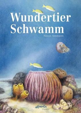 Wundertier Schwamm | Ninon Ammann | Buch | gebunden | 40 S. | Deutsch | 2019