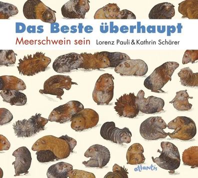 Das Beste überhaupt | Meerschwein sein | Lorenz Pauli | Buch | 32 S. | Deutsch