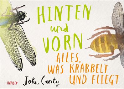 Hinten und vorn - Alles, was krabbelt und fliegt | John Canty | Buch | 40 S