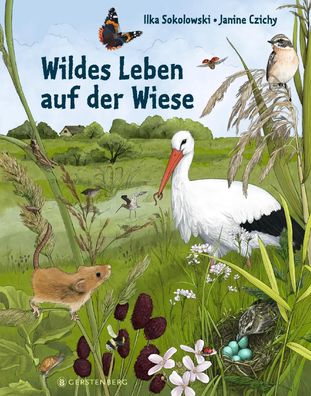 Wildes Leben auf der Wiese | Ilka Sokolowski | Buch | 64 S. | Deutsch | 2022