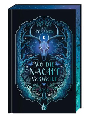 Wo die Nacht verweilt | A. B. Poranek | Buch | 432 S. | Deutsch | 2024 | Arctis