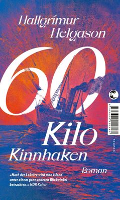 60 Kilo Kinnhaken | Roman | Hallgrímur Helgason | Taschenbuch | broschiert