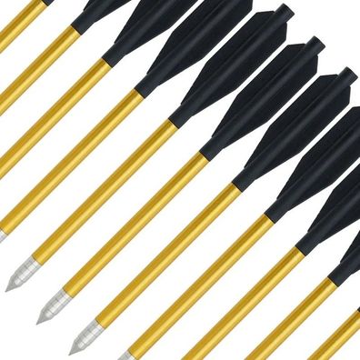 12 Stück Ersatzpfeile für Pisolenarmbrust