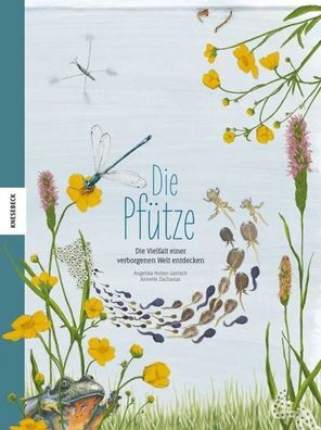 Die Pfütze | Die Vielfalt einer verborgenen Welt entdecken | Huber-Janisch