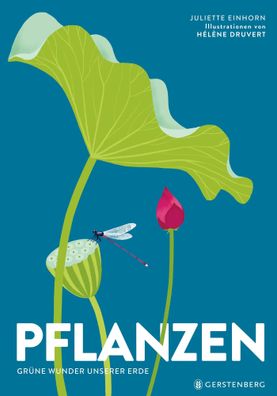 Pflanzen | Grüne Wunder unserer Erde | Hélène Druvert (u. a.) | Buch | 48 S