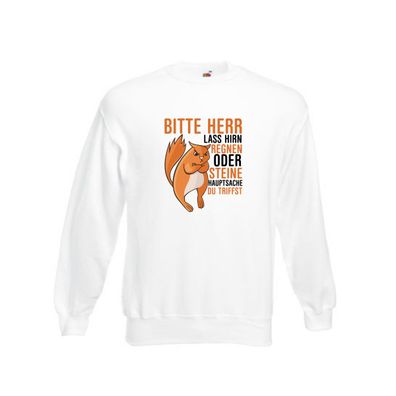 Herr lass Hirn regnen | wütendes Eichhörnchen | Tier-Comic Sweatshirt Weiß