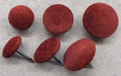 Polsterknöpfe mit Nagel Mikrofaser 002 Bordeaux