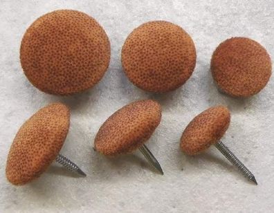 Polsterknöpfe mit Nagel Mikrofaser 006 Cognac