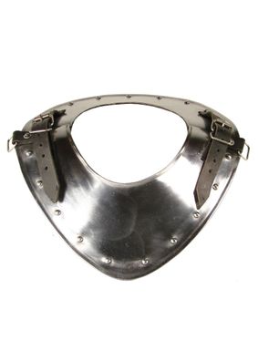 Ringkragen Warrior aus Stahl