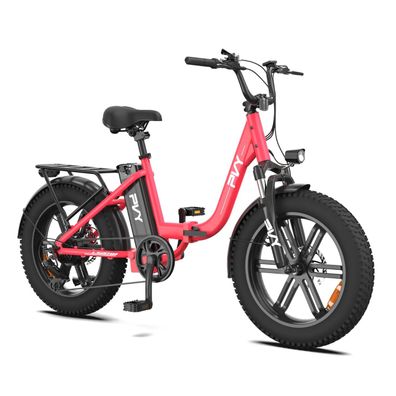 Tiefeinsteiger Elektrofahrrad City E-Bike mit 20 Zoll Fatbike Reifen 48V 16,5Ah Akku