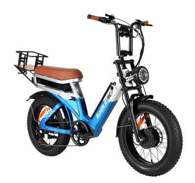 20" Elektrofahrrad Dual Motor 48V30Ah 100 KM Reichweite Full Suspension