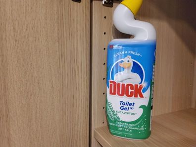 Duck WC Reiniger Grün Eucalyptus