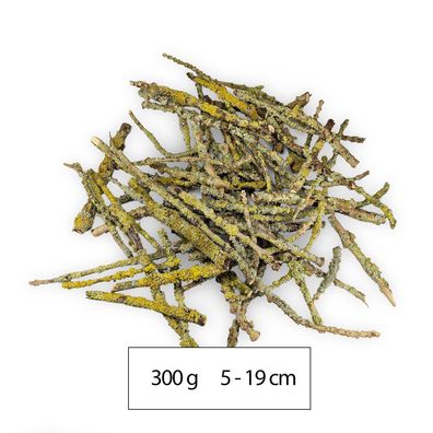 300g Flechtenzweige & Moos - Terrarium-Futter für Asseln, Tausendfüßer & Schnecken