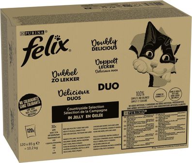 FELIX So gut wie es aussieht Doppelt Lecker Sorten Mix Katzenfutter 120 x 85 g