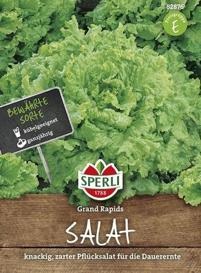 Sperli Pflücksalat Grand Rapids, milder, frischer Geschmack