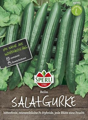 Sperli Gurke Salatgurke Bella F1 rein weiblich, hoher & früher Ertrag