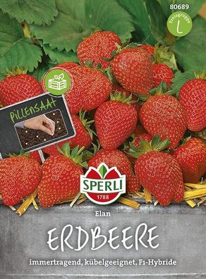 Sperli Erdbeere Elan Pillensaatgut, aromatische, süße Früchte