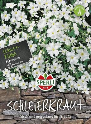 Sperli Schleierkraut weiß, fein verzweigte, zarte Blüten