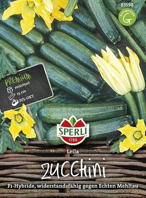 Sperli Zucchini Leila F1, frühtragende Hybrid-Zucchini