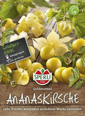 Ananaskirsche Goldmurmel, bildet viele 2 cm große goldgelbe Früchte,